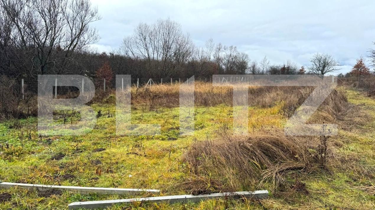 Teren de vânzare Sud - 182863TV | BLITZ Bistriţa | Poza3