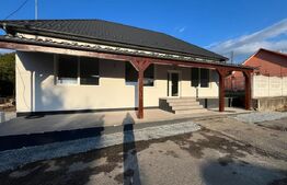 Spatiu renovat in centru sat Caila, 119 mp, ideal magazin/bar