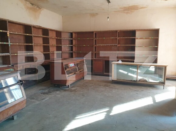 Spațiu comercial de închiriat Sintereag - 182934SIC | BLITZ Bistriţa | Poza6