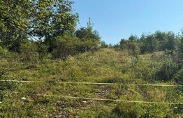 Teren extravilan, de vanzare, 1.500 mp, zona Valea Ghinzii-strada Paltinului