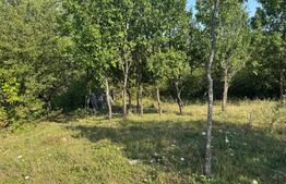 Teren extravilan, de vanzare, 1.500 mp, zona Valea Ghinzii-strada Paltinului