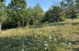Teren extravilan, de vanzare, 1.500 mp, zona Valea Ghinzii-strada Paltinului