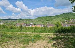 Teren extravilan, de vanzare, 1.500 mp, zona Valea Ghinzii-strada Paltinului