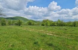 Teren extravilan, de vanzare, 1.500 mp, zona Valea Ghinzii-strada Paltinului