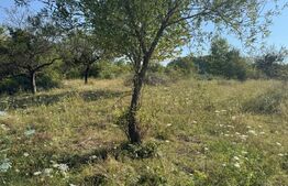 Teren extravilan, de vanzare, 1.500 mp, zona Valea Ghinzii-strada Paltinului