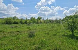 Teren extravilan, de vanzare, 1.500 mp, zona Valea Ghinzii-strada Paltinului