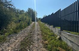 Teren extravilan, de vanzare, 1.500 mp, zona Valea Ghinzii-strada Paltinului