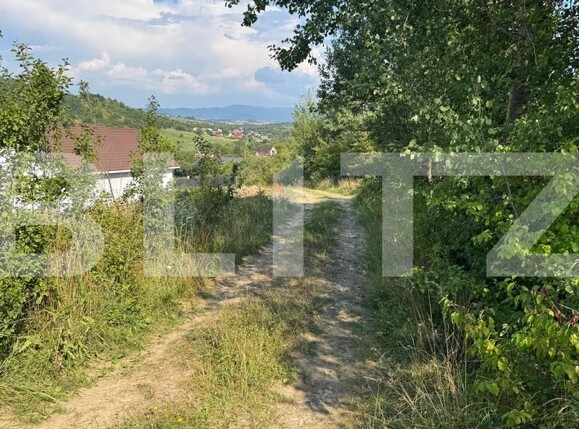 Teren de vânzare Sud - 183217TV | BLITZ Bistriţa | Poza5