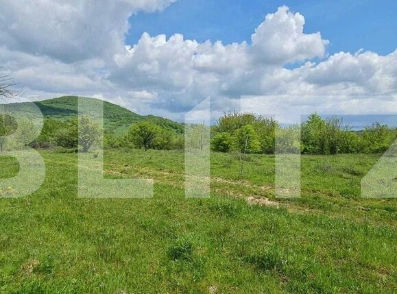 Teren de vânzare Sud - 183217TV | BLITZ Bistriţa | Poza3