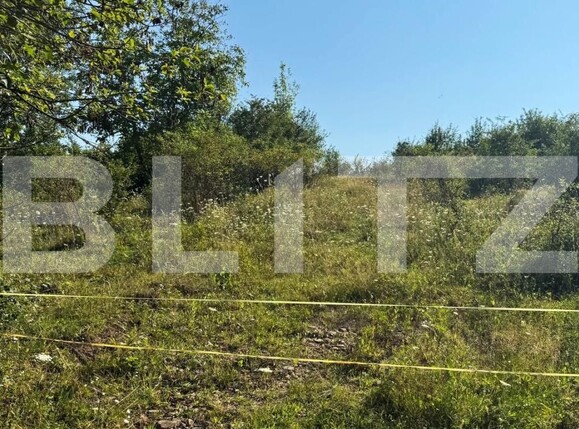 Teren de vânzare Sud - 183217TV | BLITZ Bistriţa | Poza4