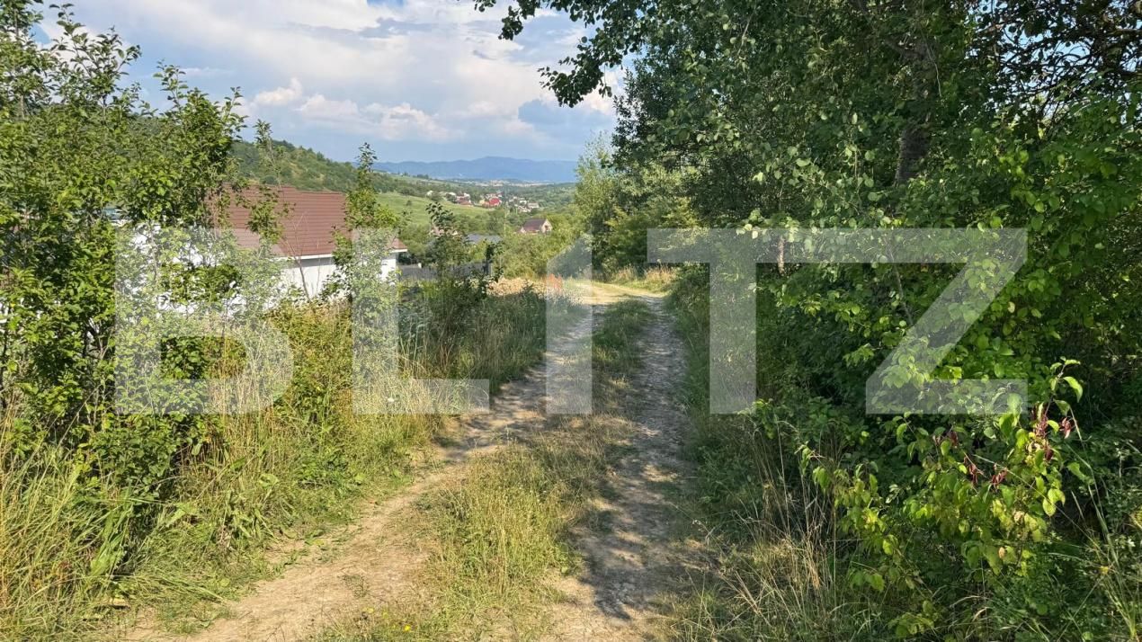 Teren de vânzare Sud - 183217TV | BLITZ Bistriţa | Poza5