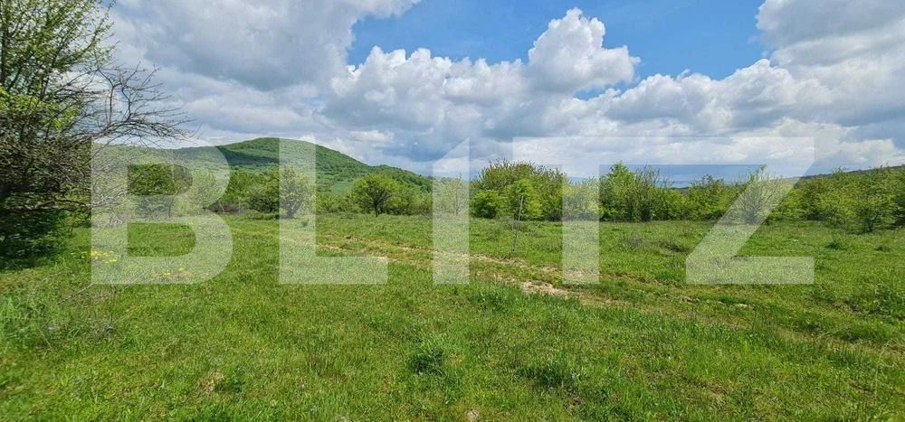 Teren de vânzare Sud - 183217TV | BLITZ Bistriţa | Poza3