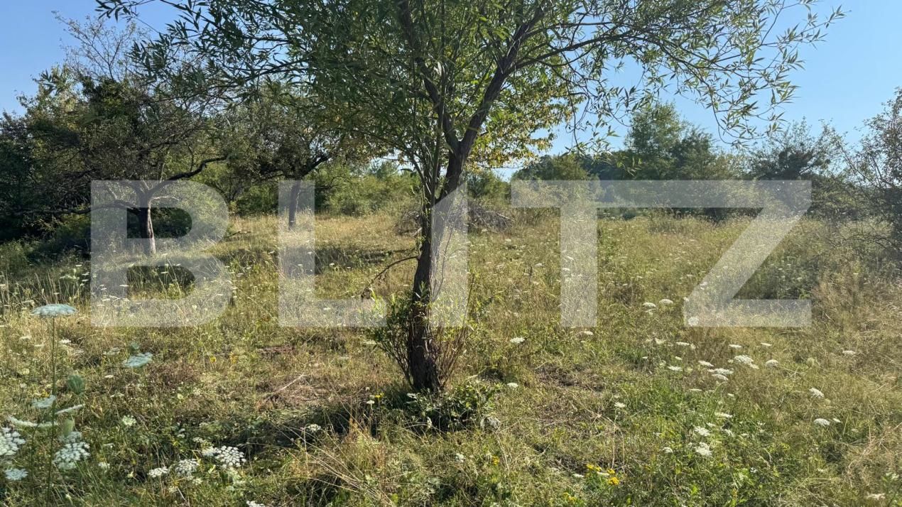 Teren de vânzare Sud - 183217TV | BLITZ Bistriţa | Poza3