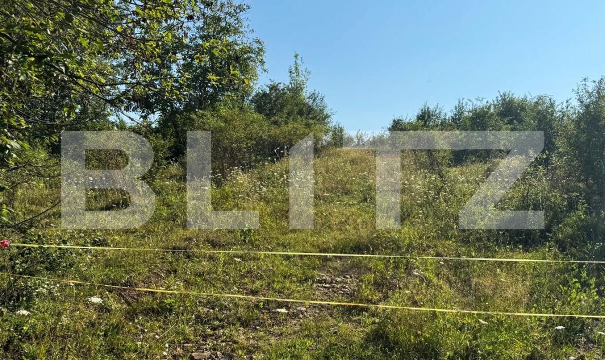 Teren de vânzare Sud - 183217TV | BLITZ Bistriţa | Poza4