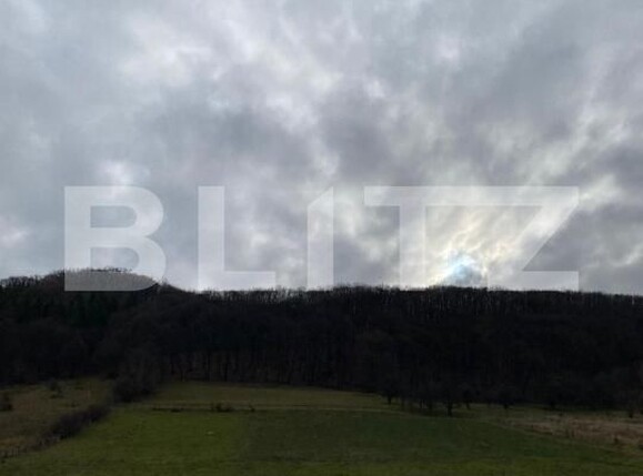 Teren de vânzare Sud-Vest - 183383TV | BLITZ Bistriţa | Poza1