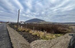 Teren intravilan, 10 ari, ideal pentru casa/hala, zona Sarata