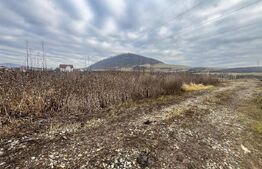 Teren intravilan, 10 ari, ideal pentru casa/hala, zona Sarata