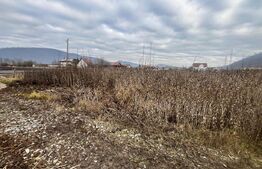 Teren intravilan, 10 ari, ideal pentru casa/hala, zona Sarata