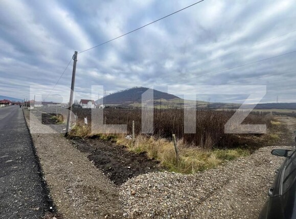 Teren de vânzare Exterior Sud - 183474TV | BLITZ Bistriţa | Poza1