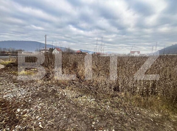 Teren de vânzare Exterior Sud - 183474TV | BLITZ Bistriţa | Poza2