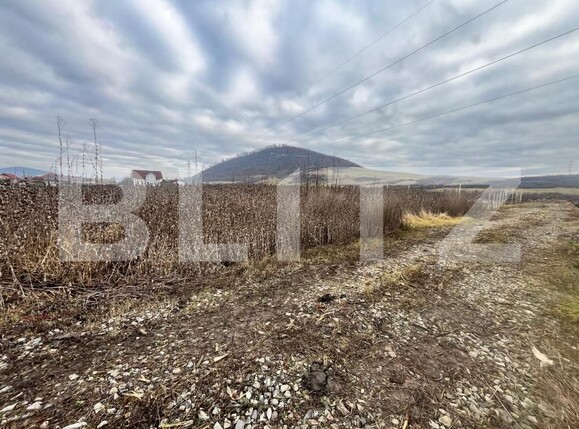 Teren de vânzare Exterior Sud - 183474TV | BLITZ Bistriţa | Poza3