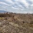 Teren de vânzare Exterior Sud - 183474TV - Poza 1 din 3 | BLITZ Bistriţa | Poza1