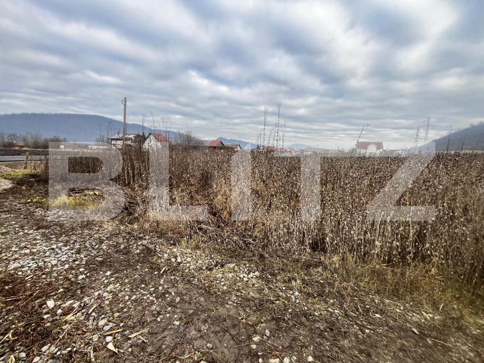 Teren de vânzare Exterior Sud - 183474TV | BLITZ Bistriţa | Poza2
