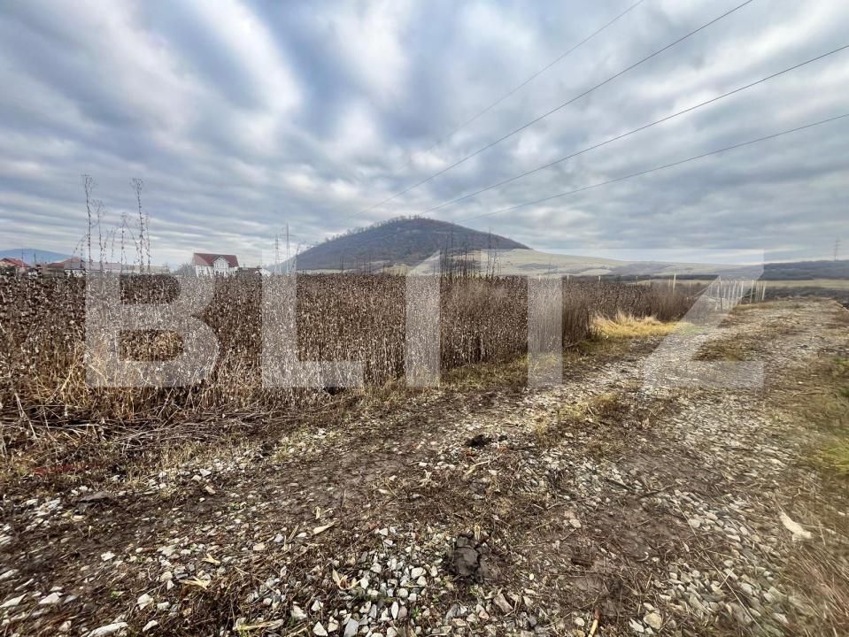 Teren de vânzare Exterior Sud - 183474TV | BLITZ Bistriţa | Poza3
