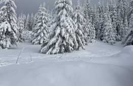 - Tihuta Cota 1.201 22.5 ari + 20 Aprobat PUZ