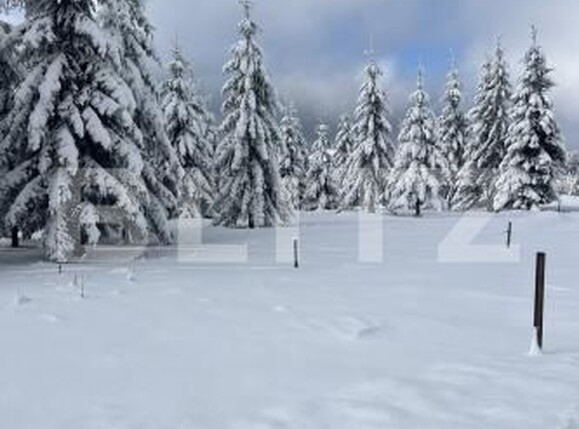 Teren de vânzare Exterior Nord - 183559TV | BLITZ Bistriţa | Poza5