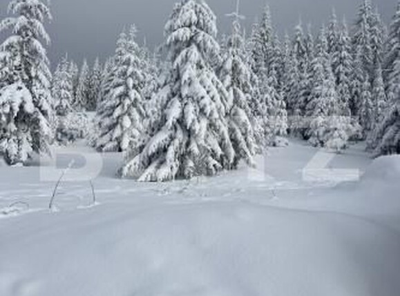 Teren de vânzare Exterior Nord - 183559TV | BLITZ Bistriţa | Poza4