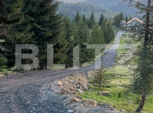 Teren de vânzare Exterior Nord - 183559TV | BLITZ Bistriţa | Poza2