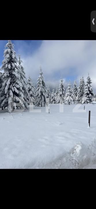 Teren de vânzare Exterior Nord - 183559TV | BLITZ Bistriţa | Poza5