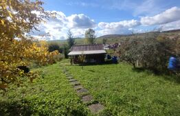 Cabana cu teren intravilan de 10 ari situat in Sigmir