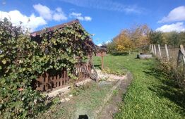 Cabana cu teren intravilan de 10 ari situat in Sigmir