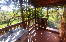 Cabana cu teren intravilan de 10 ari situat in Sigmir