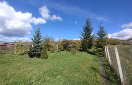 Cabana cu teren intravilan de 10 ari situat in Sigmir