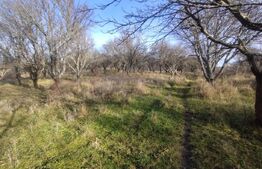 Teren extravilan, (livada pomi) 1,50 ha - zona Subcetate