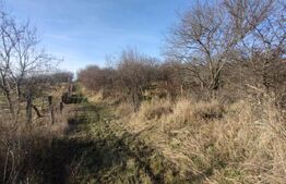 Teren extravilan, (livada pomi) 1,50 ha - zona Subcetate