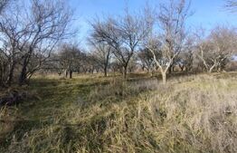 Teren extravilan, (livada pomi) 1,50 ha - zona Subcetate