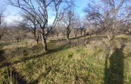 Teren extravilan, (livada pomi) 1,50 ha - zona Subcetate