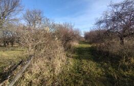 Teren extravilan, (livada pomi) 30 ari - zona Subcetate