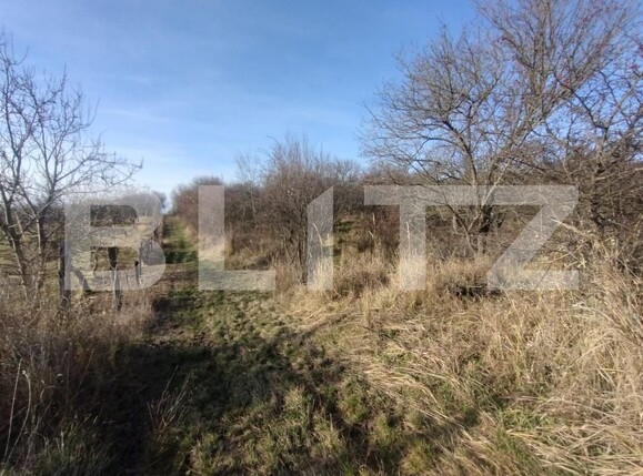 Teren de vânzare Nord - 183655TV | BLITZ Bistriţa | Poza2