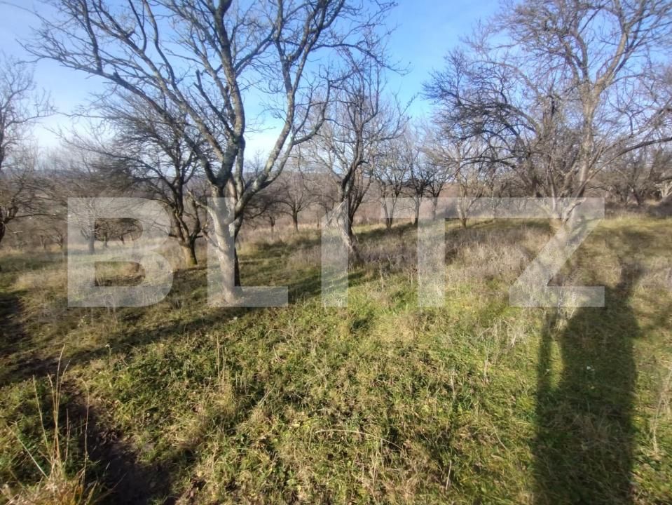 Teren de vânzare Nord - 183655TV | BLITZ Bistriţa | Poza3
