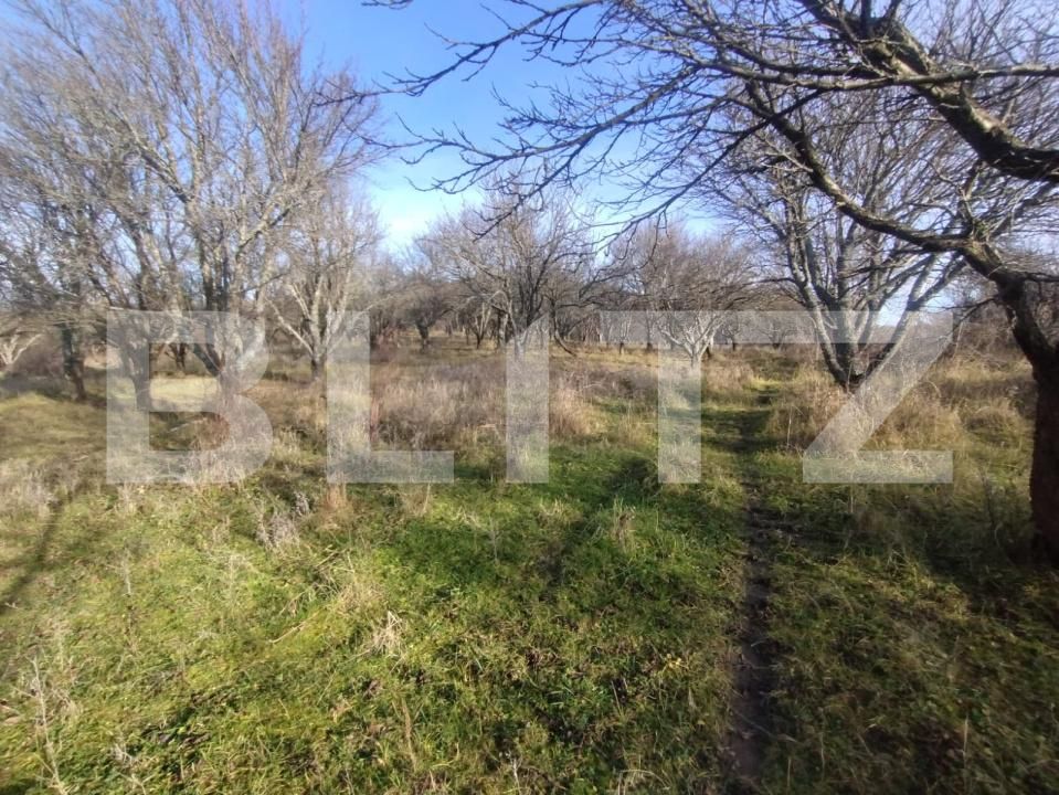 Teren de vânzare Nord - 183655TV | BLITZ Bistriţa | Poza4