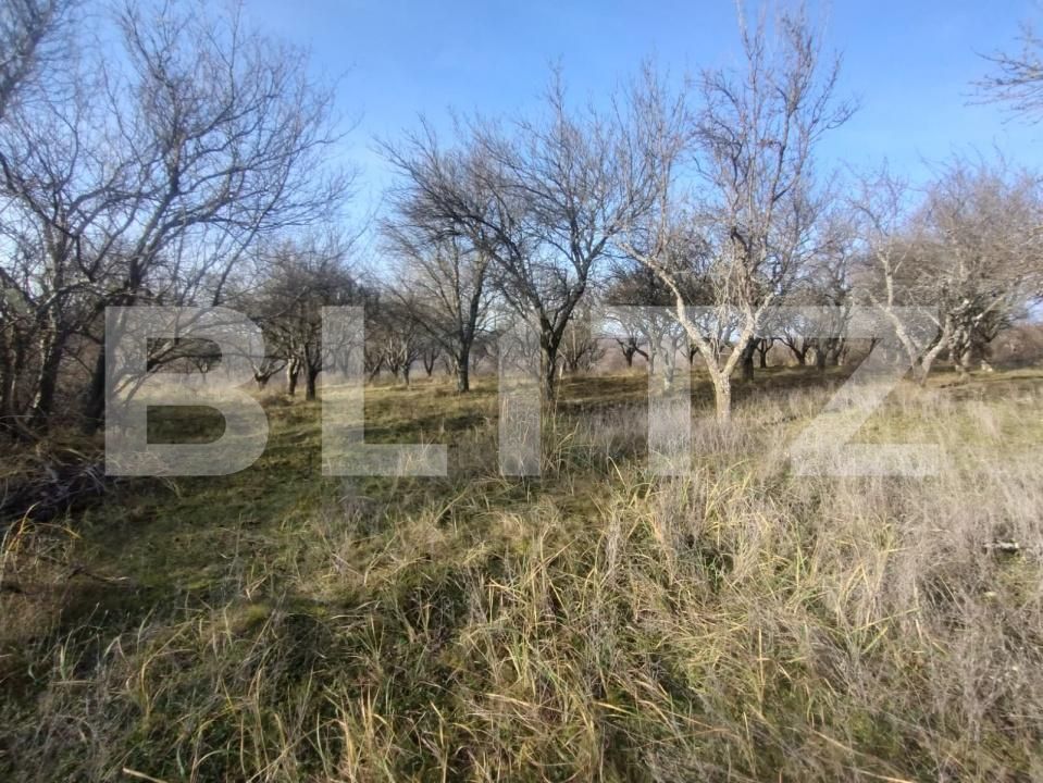 Teren de vânzare Nord - 183655TV | BLITZ Bistriţa | Poza5