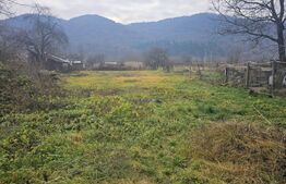 Teren de vanzare Nasaud 