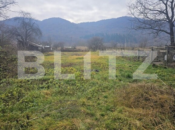 Teren de vânzare Nasaud - 183773TV | BLITZ Bistriţa | Poza4