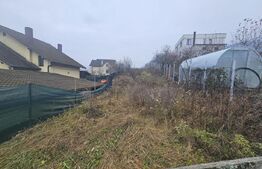 Teren intravilan de vanzare, 1600 mp - Viisoara