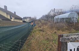 Teren intravilan de vanzare, 1600 mp - Viisoara